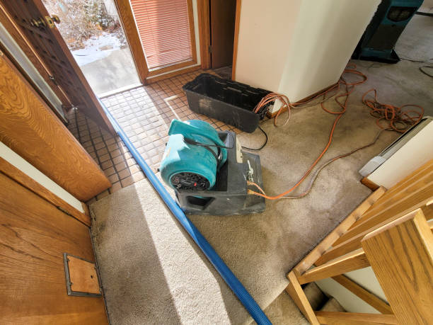 Best Ceiling water damage repair  in View Park Windsor Hills, CA