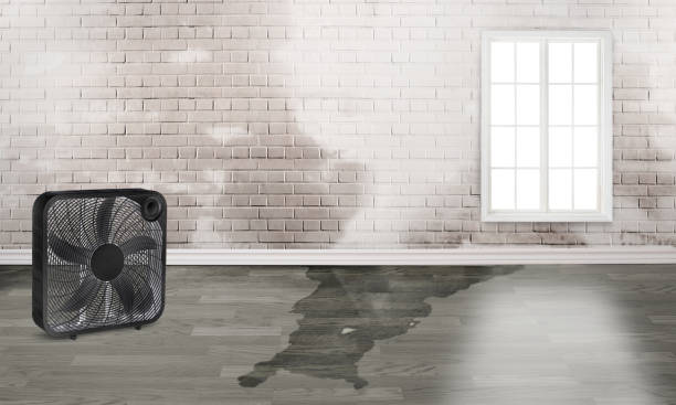  View Park Windsor Hills, CA Water damage restoration Pros