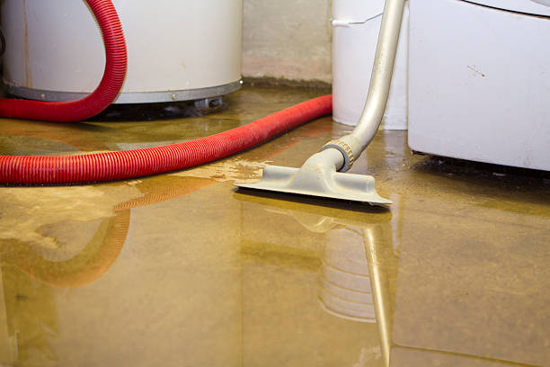 Best Local water damage restoration  in View Park Windsor Hills, CA