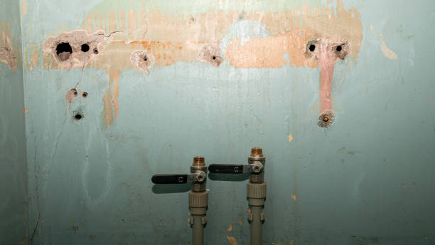 Best Emergency water damage restoration  in View Park Windsor Hills, CA